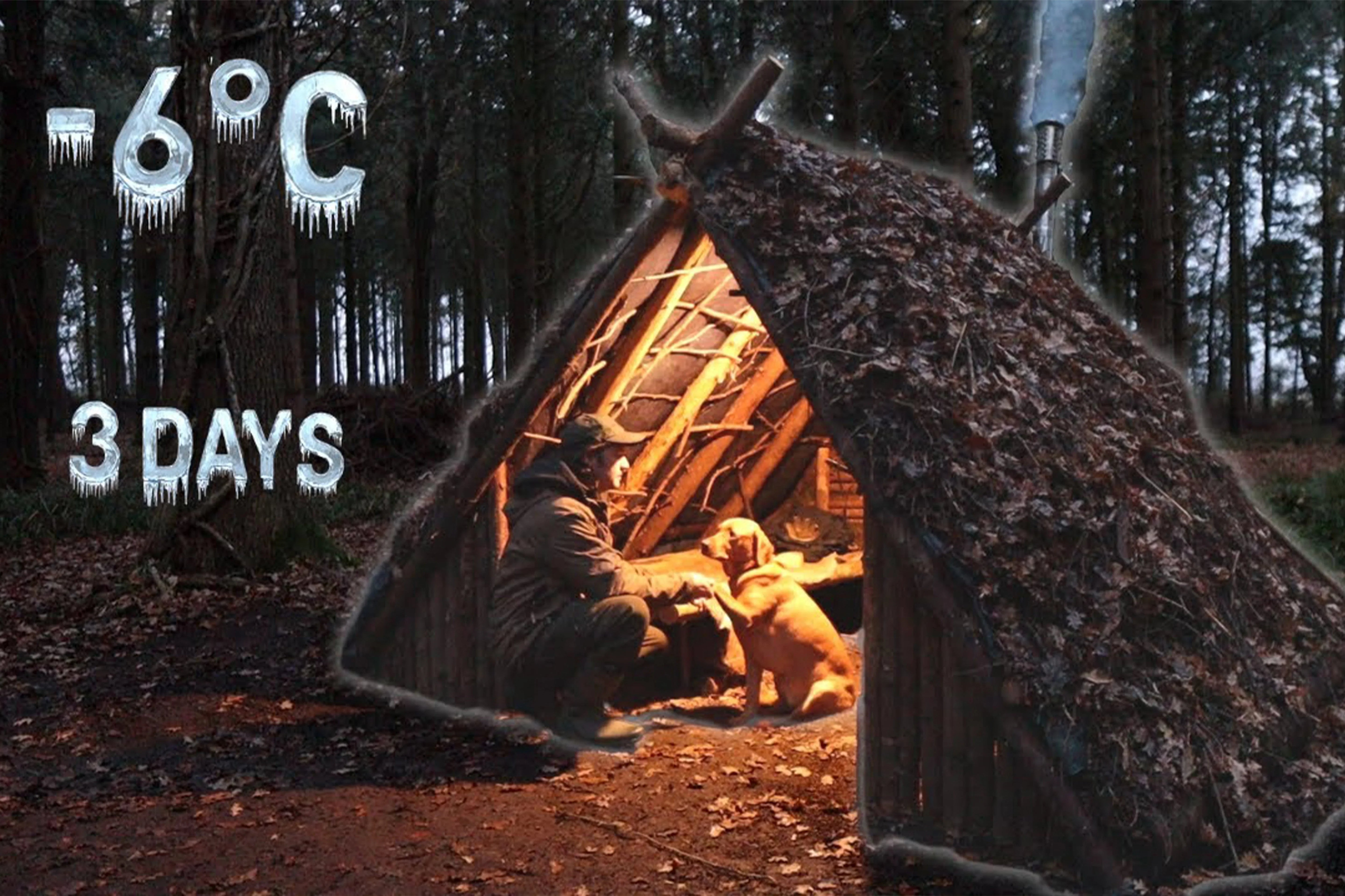 3 Days FREEZING COLD Bushcraft Woodland Camping With My Dog | Survival Shelter | Fire | Deer Hide