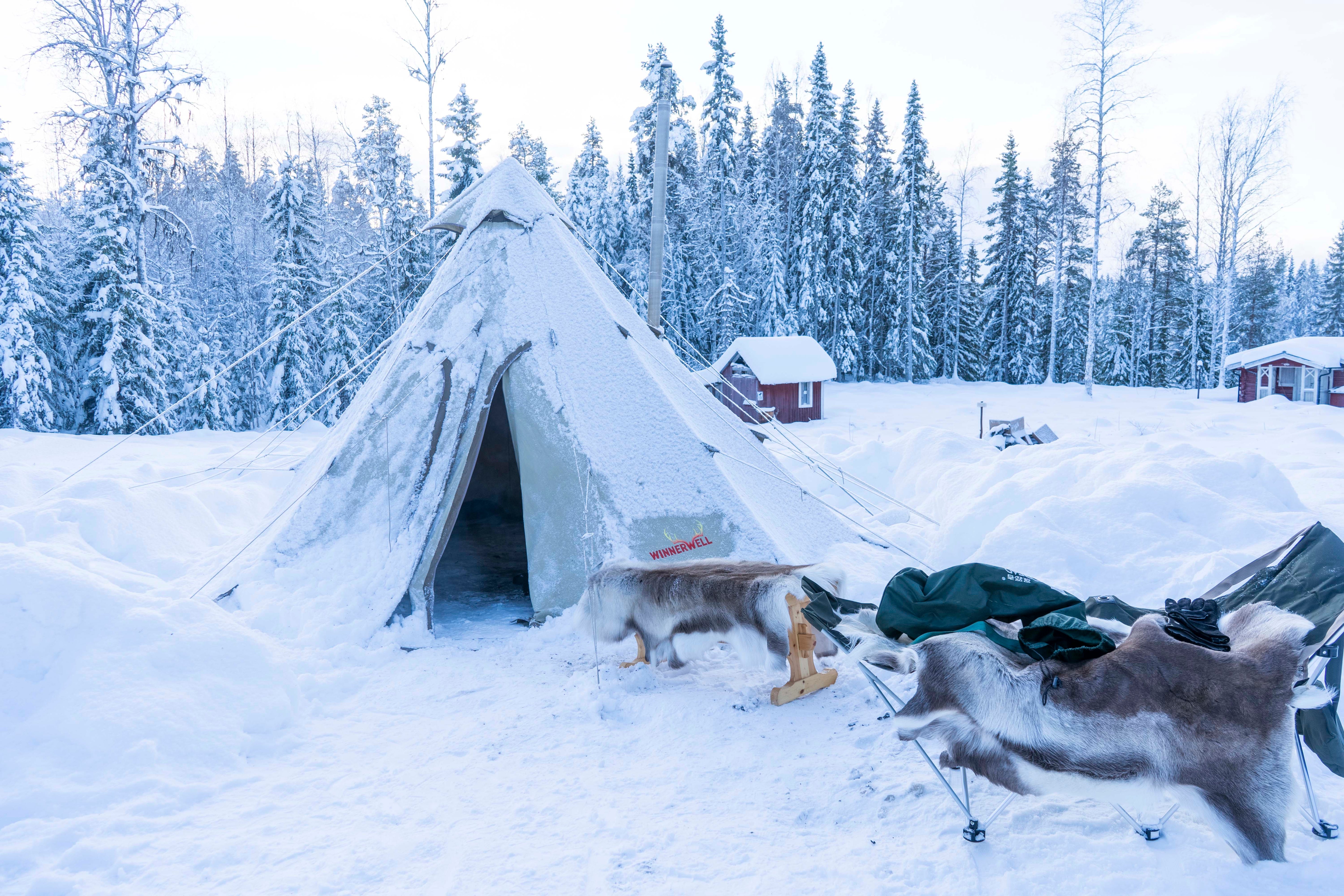 Winnerwell® Nomad PLUS Double View External Air Wood Burning Tent Stove